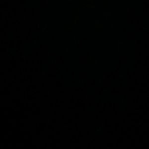 Meet your Posher, Ava